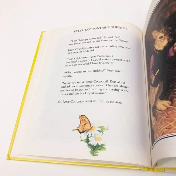 Vtg Peter Cottontails Surprise Greg Hildebrandt  Book - Picture 15 of 16